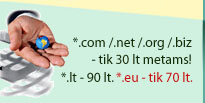 Interneto sri�i� vardai (domenai)